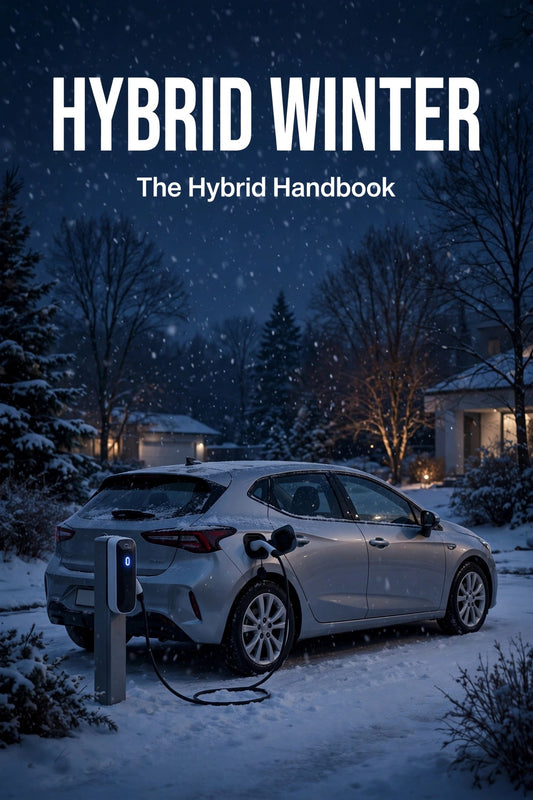 Hybrid Winter book cover